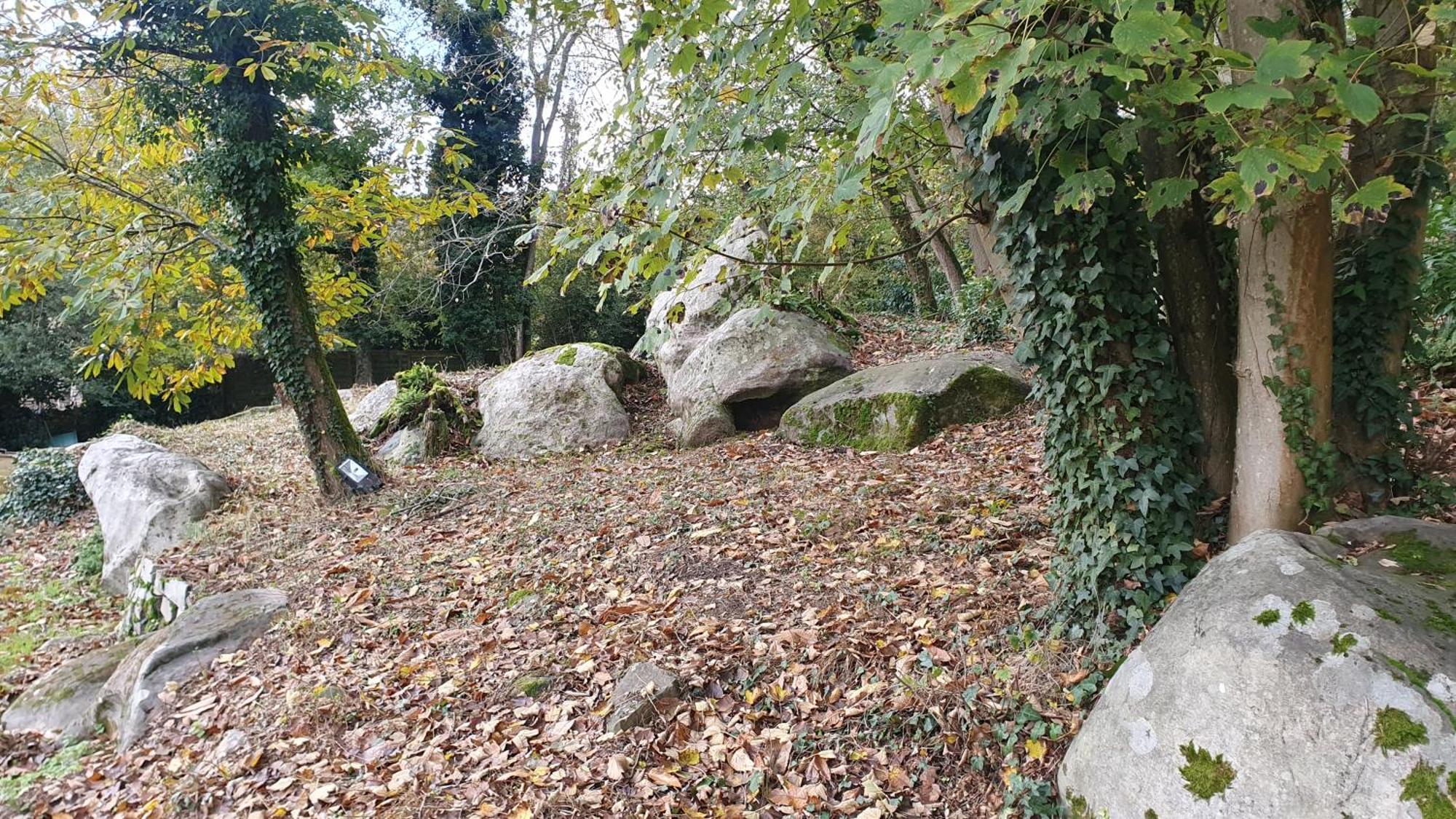Le Jardin Des Roches Bed & Breakfast Moigny Exterior photo
